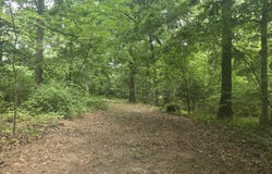 967 N Dade 219, Aldrich, MO 65601