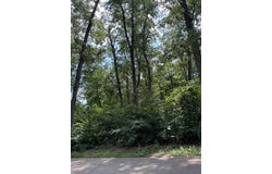 52300 E Arnold - LAND Drive, New Buffalo, MI 49117