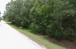 1823 HONEYTREE STREET, BUNNELL, FL 32110
