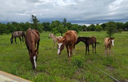 6189 Private Road 2752, Clyde, TX 79510