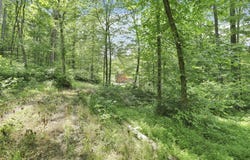 0 Sugargrove Road, Chandlersville, OH 43727