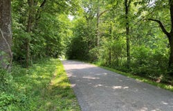 . Township Road 164, West Liberty, OH 43357