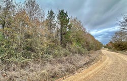 County Road 3122, McCool, MS 39108