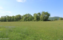 N York Hwy, Pall Mall, TN 38577