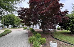 102 Jackson Street, Albertville, AL 35950