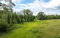 TBD 376 E County Road, Henderson, TX 75652