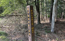 Lot 209 Cygnus Road, Lake Ariel, PA 18436