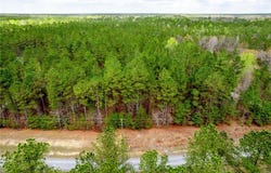 3+ac Spring Farm Road, Dendron, VA 23839