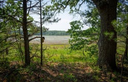V/L Round Lake Drive, Holton, MI 49425