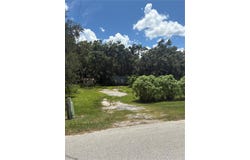370 CAMERON STREET, MULBERRY, FL 33860