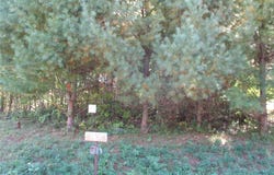 28 7/8 St/Somerset S Circle lot: 4, Birchwood, WI 54817