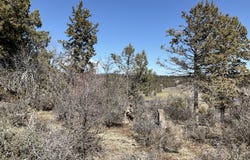 Crossbill Drive, Klamath Falls, OR 97601