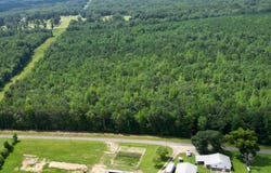000 CO RD 54, PARCEL #3, Haleyville, AL 35565