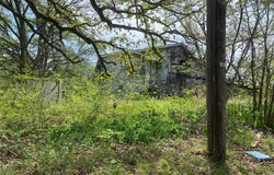 8929 W Fm 898, Savoy, TX 75479
