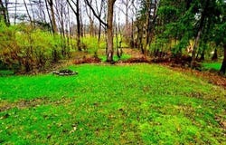 River Road, Olmsted Falls, OH 44138