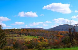 797 Lower Meeker Hollow Road, Roxbury, NY 12474