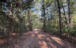 10.13 Acres Fm 852, Gilmer, TX 75644