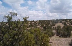 Lot 45 Abbe Springs, Magdalena, NM 87825