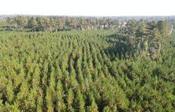 Kilpatrick Rd Tract 2D, Eatonton, GA 31024
