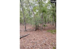 Double Pond Road, Blackville, SC 29817