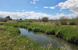 NHN MT Hwy 287, Twin Bridges, MT 59754