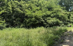 Edgar Basham Rd, Irvington, KY 40146
