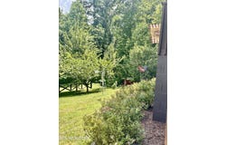 20 Tan Trough Hollow Rd, Evarts, KY 40828