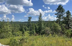 776 JOHN ASHLEY, Amity, AR 71921