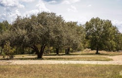 5848 FM 180 Road, Ledbetter, TX 78946