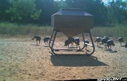267 CR 112, Goldthwaite, TX 76844