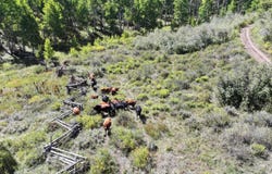 Tbd Divide Road, Whitewater, CO 81527