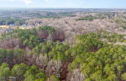3172 Buckhorn Lane, Wake Forest, NC 27587