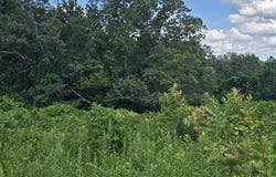 52 Paint Rock Ferry Rd, Kingston, TN 37763