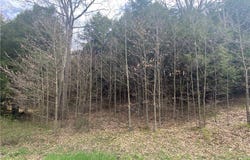 Lot B Piermott Lane, Hartwick, NY 13348