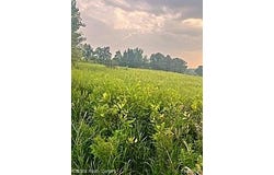 Vogt Road, Conway Twp, MI 48836