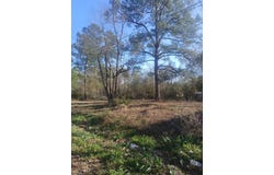 45698 MAPLE, Huntington, TX 75949