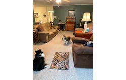 19 N Belmont Circle, Oneonta, NY 13820