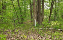 00 BUCK LANE, HARRISON, MI 48625