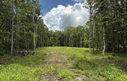00 Gold Hill Road, Atkins, AR 72823