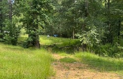 148 Butler Drive, Braxton, MS 39044