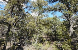 21 Cresta Vista Court, Tijeras, NM 87059