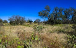 Hwy 71, Fredonia, TX 76842