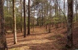 W LAKESHORE DRIVE lot: 3-E, ONEONTA, AL 35121