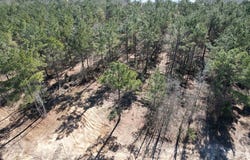 Tbd-c County Road 3198, Mount Enterprise, TX 75681