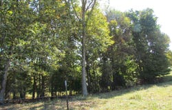 2300 Fairplay Road, Columbia, KY 42728