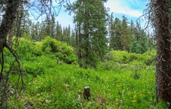 103 MARK COURT, Breckenridge, CO 80424