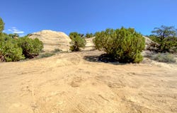 VISTA HERMOSA Trail lot: 19, Farmington, NM 87401
