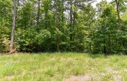 The Vines Boulevard lot: 4, Marshall, NC 28753
