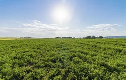 TBD E 1400 N, Ashton, ID 83420