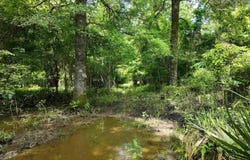 Wilmar, AR 71645